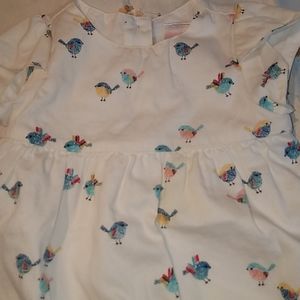 Beautiful bird dress